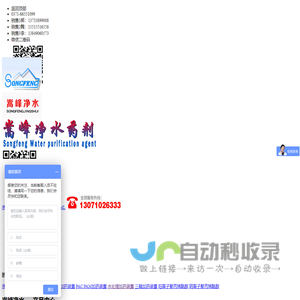 净水药剂_水处理絮凝剂_反渗透_PAC|PAM_循环水自动加药装置―嵩峰净水厂家